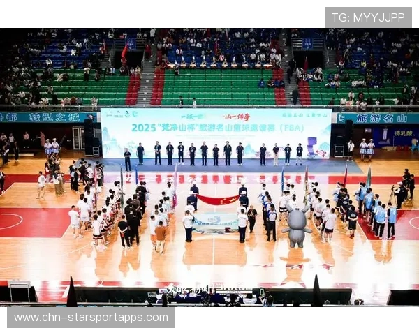 青年体育赛事观众人数稳步增长显示市场潜力，体育界青年